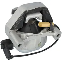 Meyle Lagerung, Motor