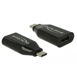 Delock Externer Videoadapter - Parade PS176