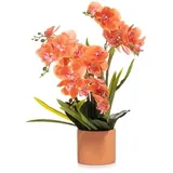 ABELLA Flora künstliche Orchidee Realtouch-Blüten Topf auswechselbar Farb-/Größenauswahl