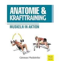 Meyer & Meyer Anatomie & Krafttraining