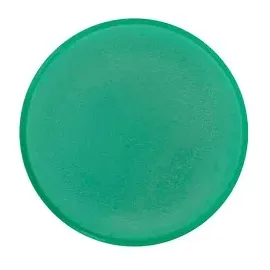 kompatible Ware Magnete Ø 3,8 x 1,03 cm, 10 St.