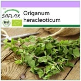 Saflax - BIO - Oregano - 1500 Samen - Origanum heracleoticum