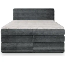 masseno Lunera 160 x 200 cm H2 Grau