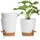 luxuskollektion Blumentopf 16,5 x 16,5 x 16,5 cm Weiß