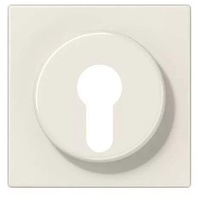 Jung Abdeckung für Schlüsselschalter mit Demontageschutz, Thermoplast, Serie LS 928