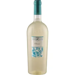 ULISSE Bianco Premium Tenuta Ulisse 2023 - 6Fl. á 0.75l