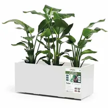 Euro3Plast Greener Kebe 100 x 40 x 100 cm Weiß