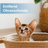 Felisept Ohrpflege Finger-Pads für Katzen 50 Stück