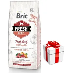 Brit Fresh Beef & Pumpkin Puppy Large Growth & Joints 12kg + Überraschung für den Hund