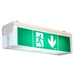 BEG 7894 Notleuchte 14m Wandmontage weiß IP54 2DN14/8/EVG