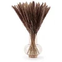 Blumtal 100 Stück Pampasgras getrocknet - Trockenblumen Pampas Grass,