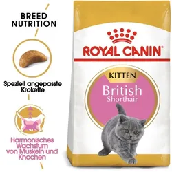 ROYAL CANIN British Shorthair Kitten 2kg