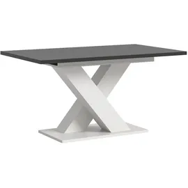 inn.furn Home-X 150 x 76 x 90 cm grau/weiß