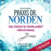 Praxis Dr. Norden 2 Hörbücher Nr. 3 - Arztroman