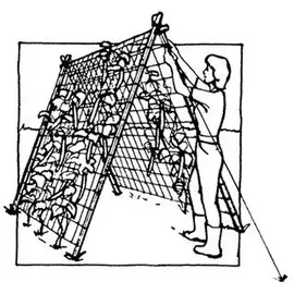 WINDHAGER Ranknetz 5 x 2 m