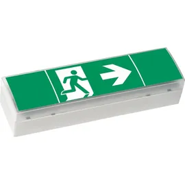 Ceag Notlichtsysteme LED-Einzelbatterie-Leuchte m.Prüftaster SV EURO4 LED 3h(SET)