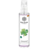 Baldini Raumspray