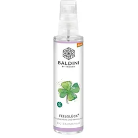 Baldini Raumspray