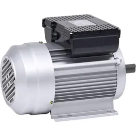 vidaXL Einphasen-Elektromotor