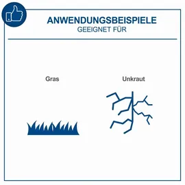 SCHEPPACH C-LT300-X inkl. 2 x 2,0 Ah Ladegerät