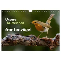 Calvendo Unsere heimischen Gartenvögel (Wandkalender 2026 DIN A4 quer),