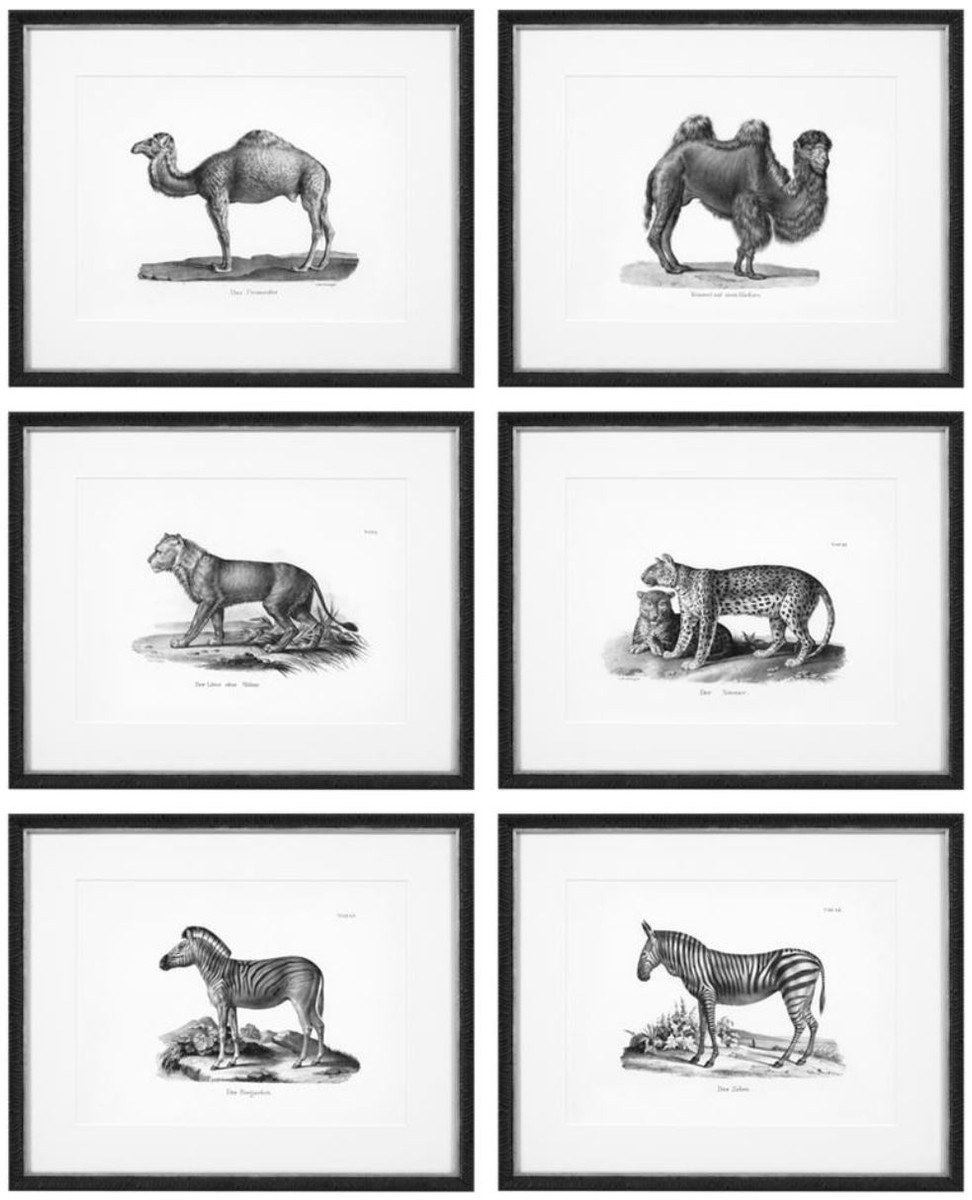 Casa Padrino Bilder 6er Set Historische Tiere Schwarz / Weiß 53,5 x H. 43,5 - Luxus Kunstdrucke mit Holzrahmen