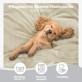 Blumtal Kuscheldecke, Beige, Textil, Rechteckig, 220x240 cm Wohntextilien, Decken, Kuscheldecken