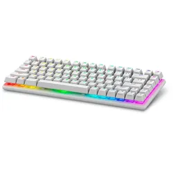 Alienware Pro Wireless-Gamingtastatur US-Englisch (QWERTY), Lunar Light