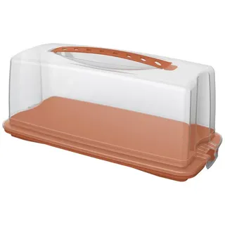 ROTHO Kuchentransportbox Rotho Kuchenbehälter Fresh 36 x 17 cm koralle, Kunststoff rot