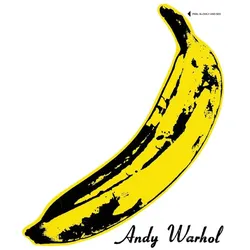 The Velvet Underground&Nico 45th Anniversary(LP)