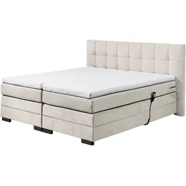 ed exciting design Talena 202 x 211 cm Beige