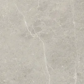Euro Stone Terrassenplatte Feinsteinzeug grau 60 x 60 x 2 cm