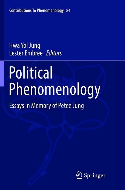 Political Phenomenology  Kartoniert (TB)