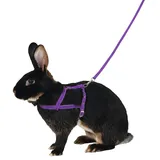 Kerbl Pet 81761 Schultergeschirr Agility mit Leine, 2 m, L, lila