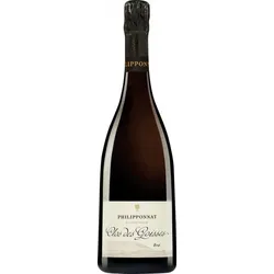 Clos des Goisses Champagne Philipponnat MAGNUM 2014
