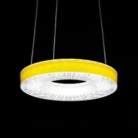 Ridi Einlegefolie SPI0000143 1St.