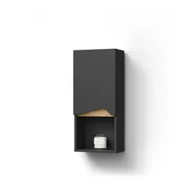 livinity Livinity® Badschrank, Anthrazit, Anthrazit, Holzwerkstoff, 1 Fächer, Rechteckig, 30x67x17 cm mit Tür und offenem Fach