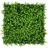52 x 52 cm mixed green buxus