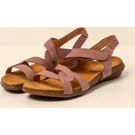 El Naturalista N5079 Wakataua Rot 42