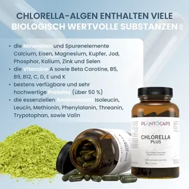 plantoCAPS Chlorella PUR Kapseln 120 St.