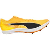 Puma evoSPEED Long Distance Herren orange, 44