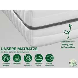Dreamstar Vital Silber 80x200cm H4