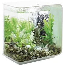OASE biOrb FLOW 15 LED weiß Aquarium 15l mit LED-Beleuchtung