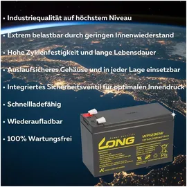 KungLong Akku 12v 9ah kompatibel Teufel Rockster Air Lautsprecher