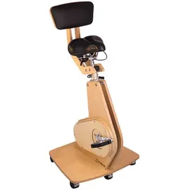 fit&shape Schreibtischfahrrad Professional Black Panther