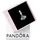 Pandora Kamera, Herz & Kompass Silber 792703C01