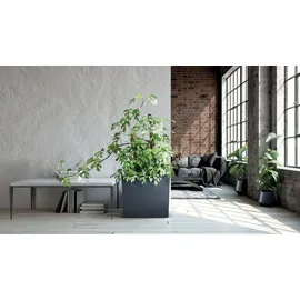 Nabbi Urbi Case T DUC600T 18 x 58 x 49,8 cm Weiß