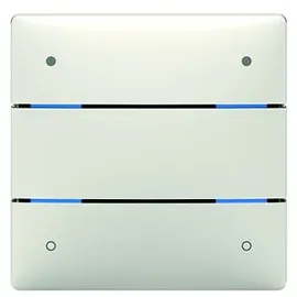 Theben Tastsensor iON 104 KNX