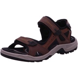 ECCO Offroad Herren espresso/cocoa 45