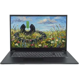 Sony JodaBook C17 Pure 17,3" Intel Core i7-1255U 8 GB RAM 500 GB SSD Win 11 Pro Schwarz